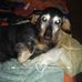 Beth Lanier - Facebook