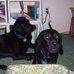 Beth Lanthier - Facebook