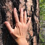 Beth Lantz Miller - @bethlantzmiller - Instagram
