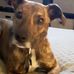 Beth LaPointe - Facebook