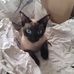 Bethany Lapp - Facebook