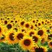 Beth Lappin - Facebook