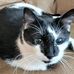 Beth LaRance - Facebook