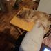 Beth Leavitt - Facebook