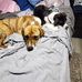 Beth LeClair - Facebook