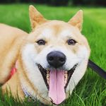 Beth Ferleger - @bethlegerbot - Instagram