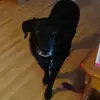 bethlegere4 - @beth.legere - TikTok