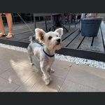 Elisabeth - @elisa_bethleger - Instagram