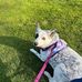 Elizabeth Leger - Facebook
