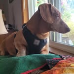 Beth Lentz - @elsbethb - Instagram