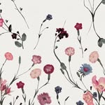 Beth Leslie - @bringthenutella - Instagram