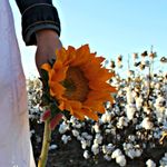 Beth Butler Lind - @bethlind67 - Instagram