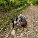 Beth Lind - @bethbeutlerlind - Instagram