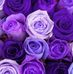 Beth Lippincott Kline - Facebook