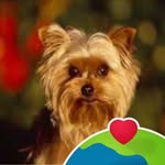 Betty Lippincott Oberly - @bettylippincoott - Instagram