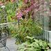Elizabeth Loring - Facebook