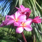 Beth Ludwig - Facebook