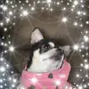Beth Ludwig - @bethludwig69 - TikTok