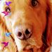 Beth Luker - Facebook