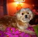 Beth Abbott Lum - Facebook