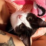 Beth - @beth_luna021 - Instagram