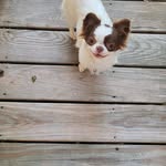 Beth Luther - @lutherbeth - Instagram