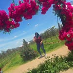 🌻🇲 🇴 🇷 🇾  🌻 - @bethlygro - Instagram