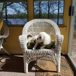 Betty Lybarger - @betty.lybarger.961 - Instagram