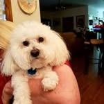 Betty Lybarger - @betty.lybarger.5437 - Instagram