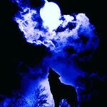 Beth Lyle - @lonewolf_in_the_fucking_dark - Instagram