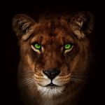 Beth Lyons - Combined Agent - @bethlyons.combined - Instagram