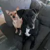 Beth Chesney - @beth.chesney - TikTok