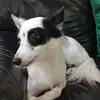 Marcbeth Maceda - @marcbeth.maceda - TikTok