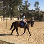 Beth Mackenzie - @bm_equine - Instagram