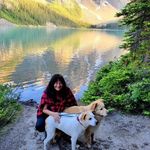 Beth Mackey Penesis - @bethpenesis2 - Instagram