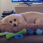 Mary Beth Mackin - @mb_mackin - Instagram