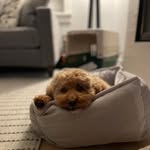 Beth MacNeil - @bethandbaxter - Instagram