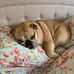 Bethany MacPherson - Facebook