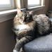 Beth Madsen - Facebook