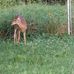 Beth Magee - Facebook