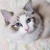Beth Magee - Facebook