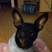 Beth Mahar - Facebook