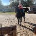 Elizabeth Mahar - Facebook