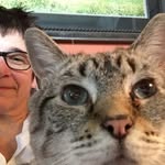 Beth Maisano - @gatourist - Instagram