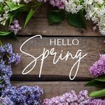 Beth Childress Maness - @bethchildressmaness - Instagram