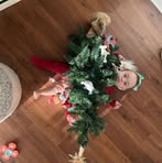 Beth Rich Maness - Facebook