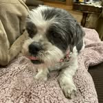 Tootsie Beth Marie Maness - @tootsie_maness - Instagram