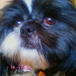 Beth Manke - @bethmanke58 - Instagram