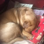 Jutta Bethmann-Schuh - @bethmannschuh - Instagram