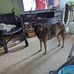 Beth Mapes-corzine - Facebook